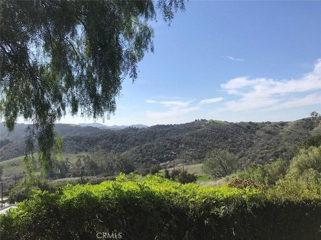 1145 Apache, Topanga, CA 90290 - mountain view