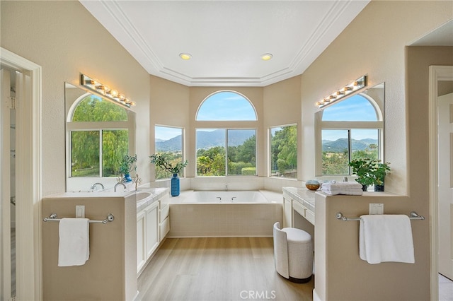 bathroom featuring a mountain view, wood finished floors, vanity, and a bath
