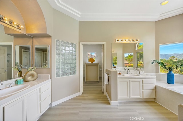 bathroom with a sink, two vanities, a bath, and wood finished floors