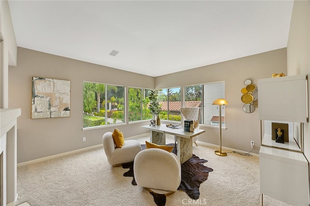 office with light carpet, a wealth of natural light, and baseboards