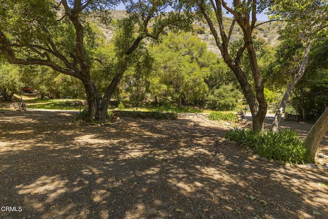 3328 Matilija Canyon Rd, Ojai, CA 93023 - photo 3