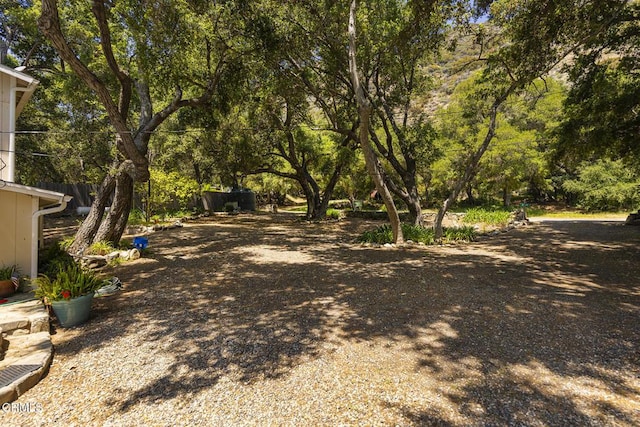 3328 Matilija Canyon Rd, Ojai, CA 93023 - photo 21