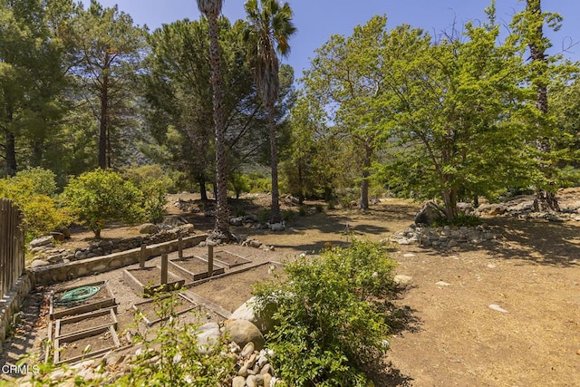 3328 Matilija Canyon Rd, Ojai, CA 93023 - photo 5