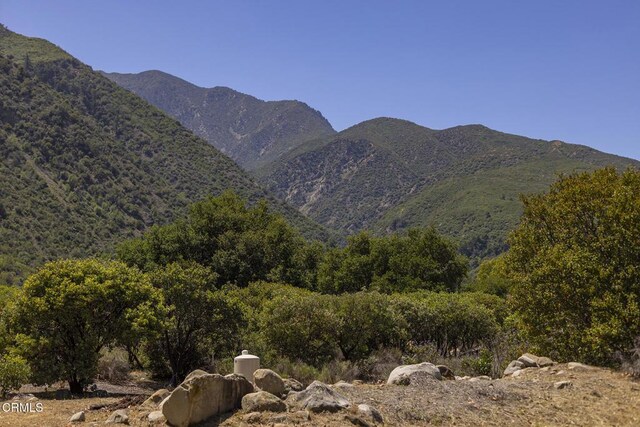 3328 Matilija Canyon Rd, Ojai, CA 93023 - photo 29