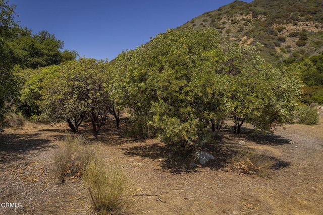 3328 Matilija Canyon Rd, Ojai, CA 93023 - photo 32