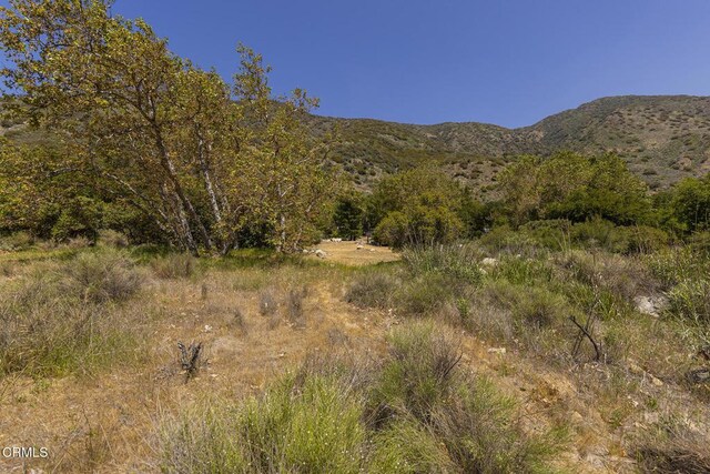 3328 Matilija Canyon Rd, Ojai, CA 93023 - photo 30