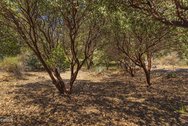3328 Matilija Canyon Rd, Ojai, CA 93023 - photo 31
