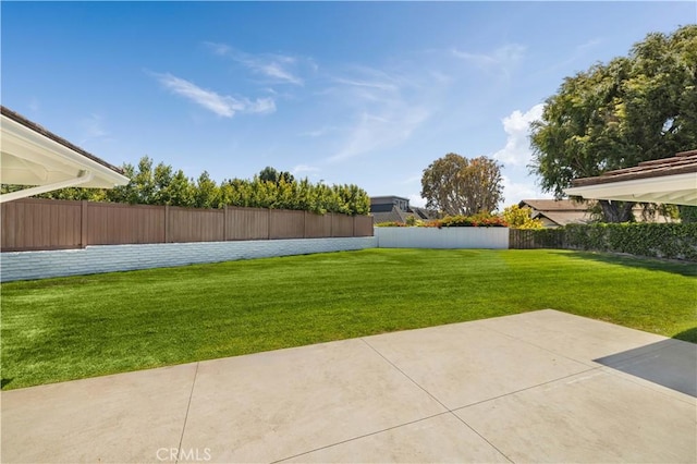 view of yard with a patio area and a fenced backyard