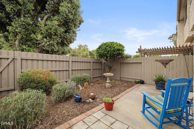view of yard with a fenced backyard and a patio