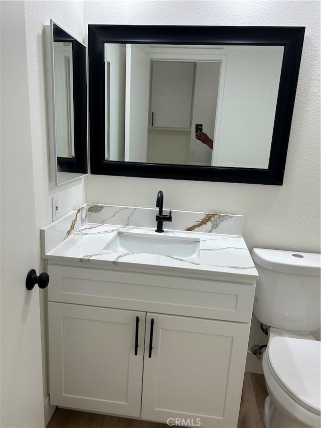 bathroom featuring toilet, vanity, and wood finished floors