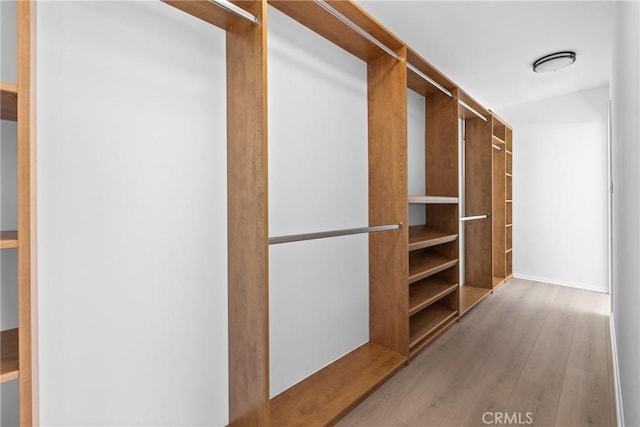 walk in closet with wood finished floors