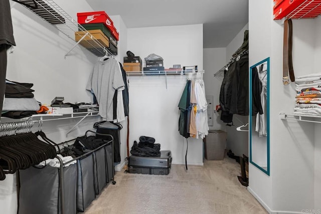 5441 San Roberto, San Diego, CA 92154 - spacious closet featuring light colored carpet