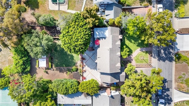 bird's eye view