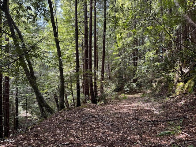 23501 Branscomb Rd, Westport, CA 95488