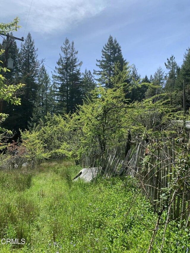 23501 Branscomb Rd, Westport, CA 95488