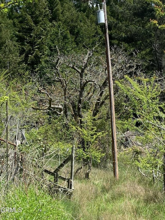 23501 Branscomb Rd, Westport, CA 95488