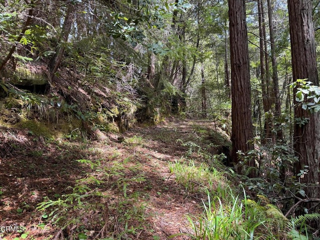 23501 Branscomb Rd, Westport, CA 95488