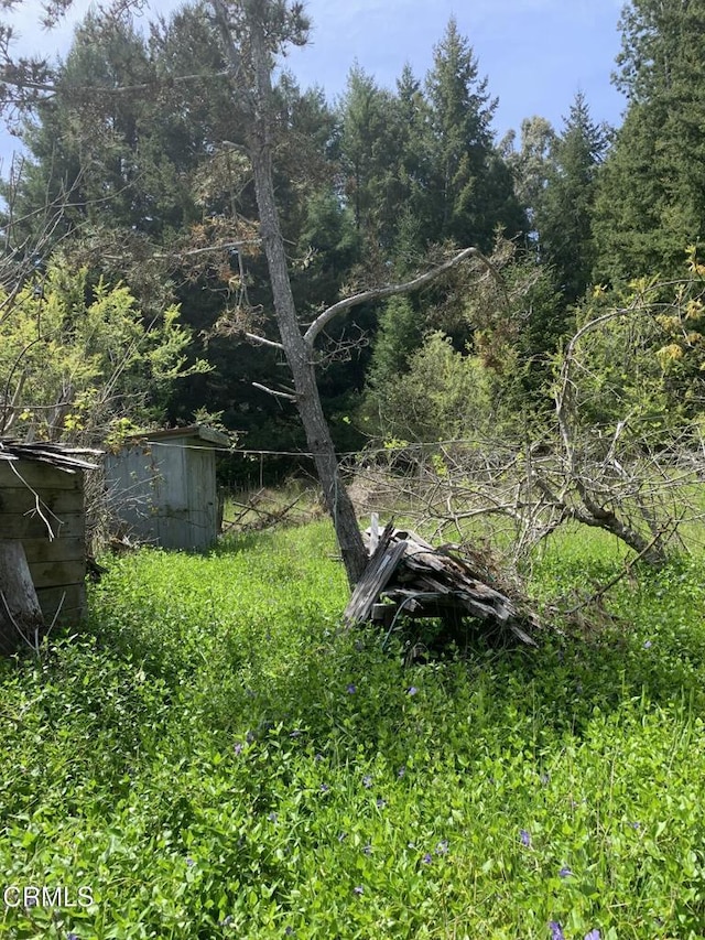 23501 Branscomb Rd, Westport, CA 95488