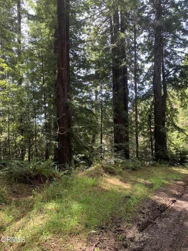 23501 Branscomb Rd, Westport, CA 95488