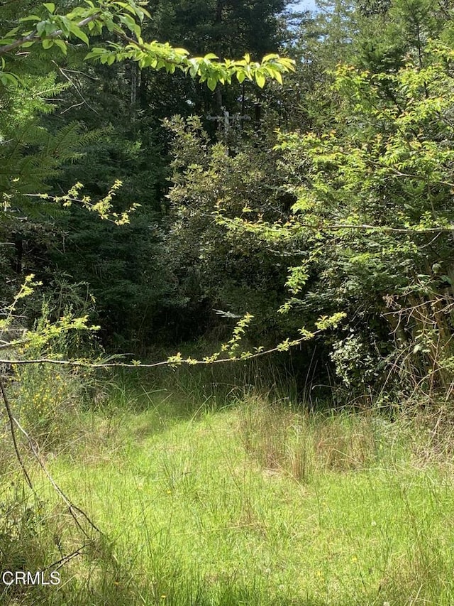 23501 Branscomb Rd, Westport, CA 95488