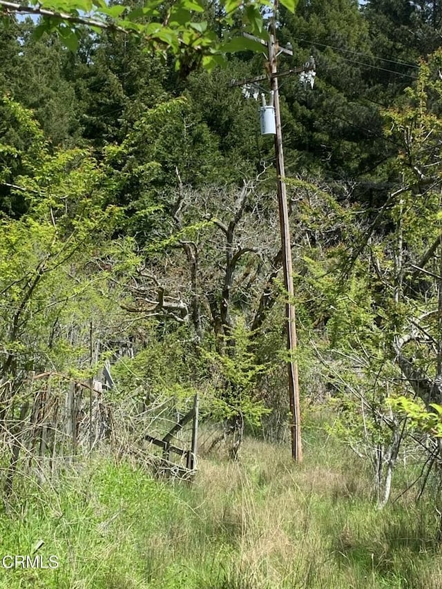 23501 Branscomb Rd, Westport, CA 95488