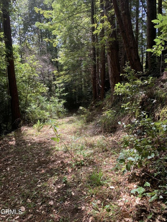 23501 Branscomb Rd, Westport, CA 95488