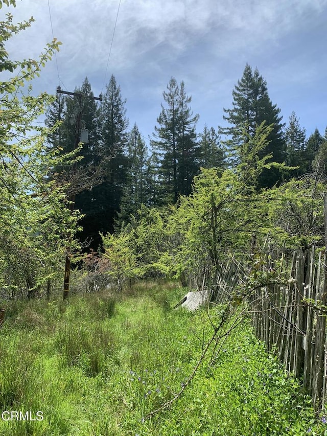 23501 Branscomb Rd, Westport, CA 95488