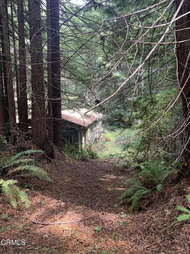 23501 Branscomb Rd, Westport, CA 95488