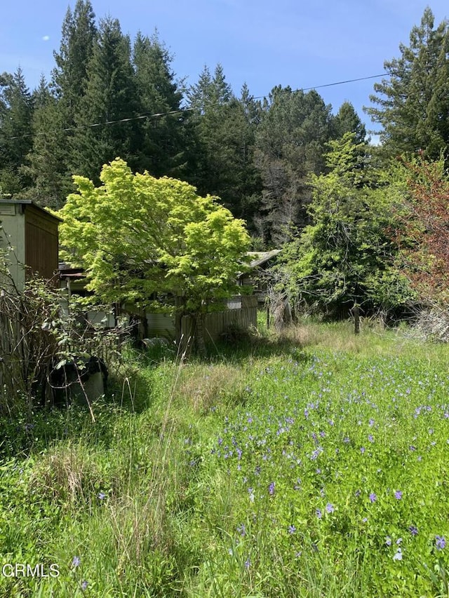 23501 Branscomb Rd, Westport, CA 95488