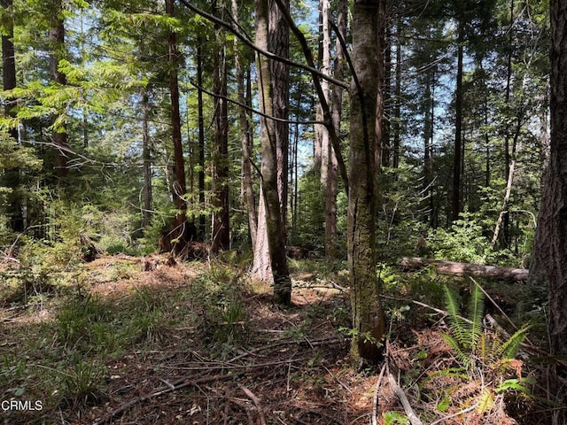 23501 Branscomb Rd, Westport, CA 95488