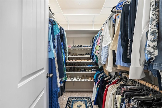 view of walk in closet