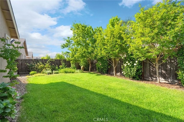 view of yard featuring a fenced backyard