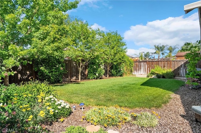 view of yard featuring a fenced backyard