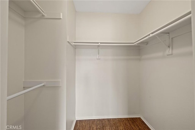 walk in closet with wood finished floors