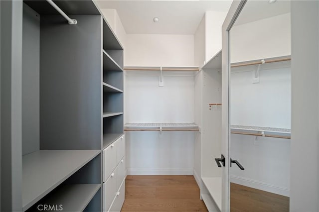spacious closet featuring wood finished floors