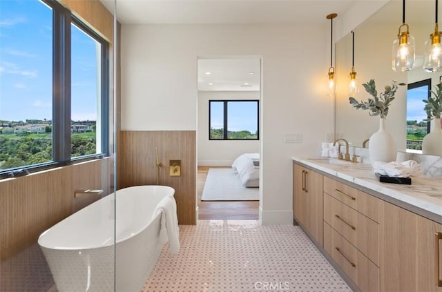 4 Sunset Cv, Newport Coast, CA 92657 - ensuite bathroom with vanity, a wealth of natural light, a freestanding bath, and wainscoting