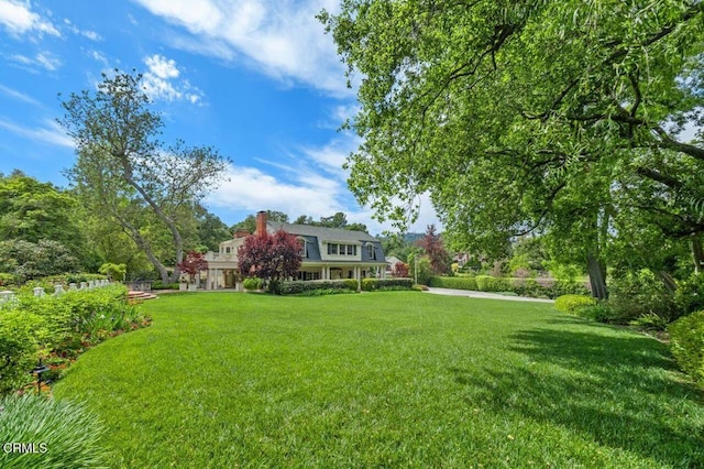 view of yard