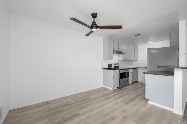 kitchen featuring a ceiling fan, light wood-style flooring, under cabinet range hood, dark countertops, and appliances with stainless steel finishes