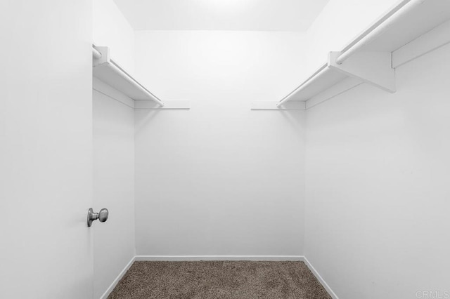 walk in closet featuring carpet