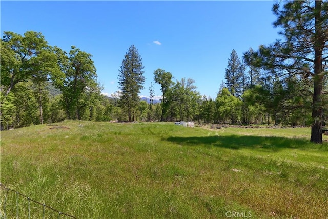 view of local wilderness featuring a view of trees