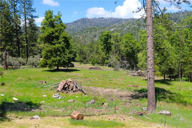 view of yard featuring a wooded view