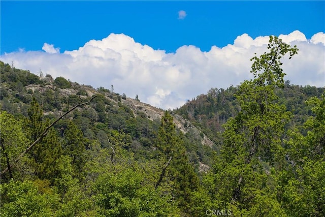 mountain view with a wooded view