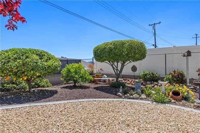 25805 Musselburgh Dr, Menifee, CA 92586 - view of yard featuring fence