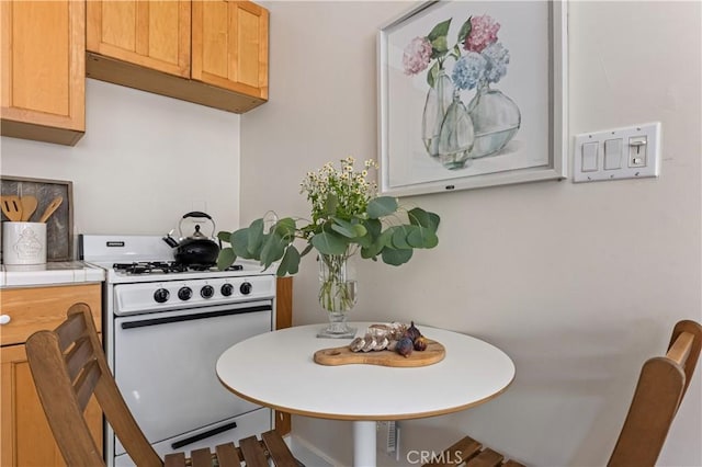 10633 Chiquita St, Toluca Lake, CA 91602 - kitchen featuring white range with gas stovetop and light countertops