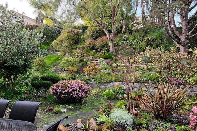 5054 Seachase Way, San Diego, CA 92130 - view of yard
