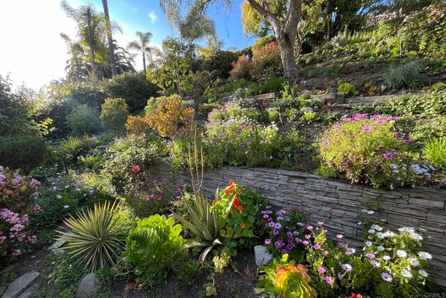 5054 Seachase Way, San Diego, CA 92130 - view of yard