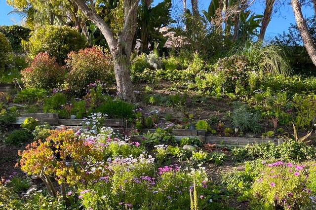 5054 Seachase Way, San Diego, CA 92130 - view of yard