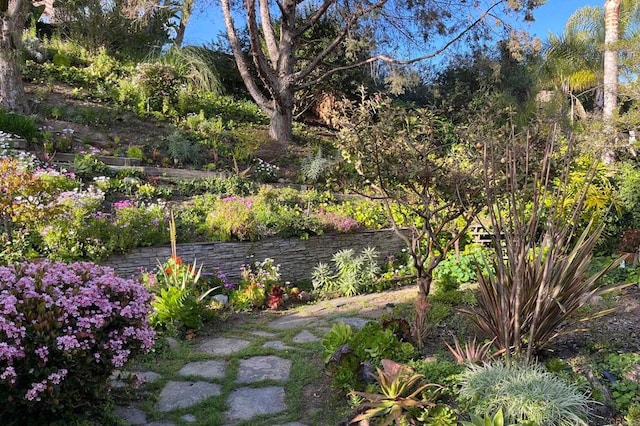 5054 Seachase Way, San Diego, CA 92130 - view of yard