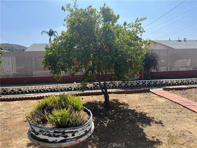 28960 Olympia Way, Menifee, CA 92586 - view of yard