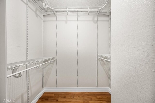 walk in closet featuring wood finished floors